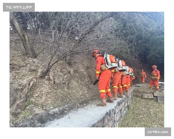 森林防守稳定性不足,空中对抗成功率有待提升